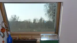 P1020134.webp