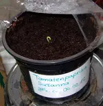 DSCF7357.2.webp