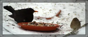 comp_DSC00392.webp
