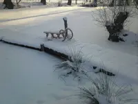 Schlittenschlaf.webp
