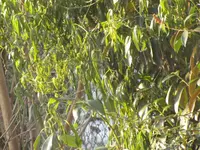 Bild 732.webp