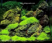 Cubehuegel.webp