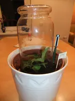 Februar 2012 (1).webp