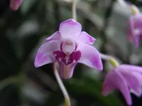 P2090174.webp