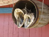 NOR_388_NO_Lofoten_Ä.webp