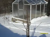 SAM_1028.webp