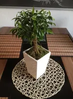 Foto 1.webp