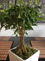 Foto 3.webp