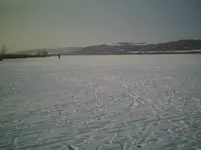 Süßer See Richtung Eisleben.webp