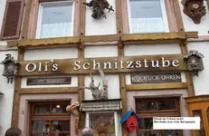 19. Seelandtaube - Urlaub im Schwarzwald.webp