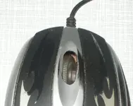 mouse.webp