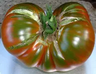 malakhitovaya_shkatulka_1.webp