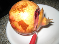 k-IMG_8793Granatapfel .webp