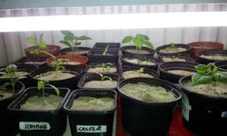 20120214_125434.webp
