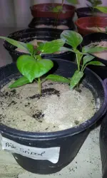 20120214_125534.webp