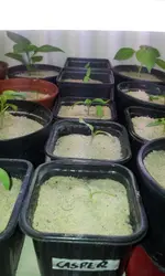 20120214_125453.webp