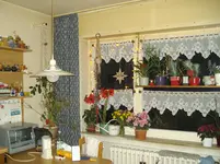 IMGP3300.webp