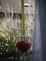 PIC01260.webp