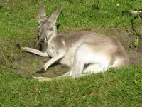 Bild 1223.webp