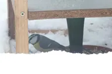 2012_0215winter0063.webp