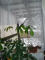 DSC03293.webp DSC03293.webp