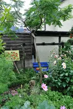 Essigbaum.webp