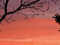 002.webp