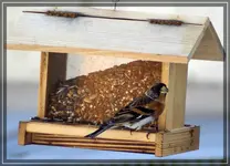 comp_DSC00478.webp