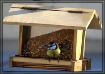comp_DSC00504.webp