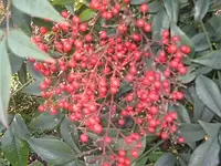 Bild 7140.webp