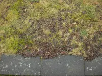 comp_CIMG3083.webp