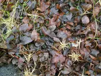 comp_CIMG3084.webp