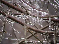 DSC00002.webp