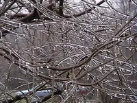 DSC00001.webp