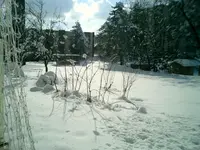 CIMG0019.webp