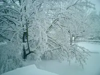 CIMG0013.webp