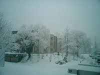 CIMG0002.webp