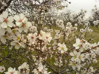 DSC00170.webp