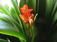 Bild 782.webp