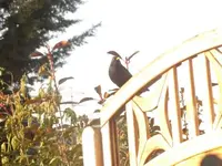 Bild 799.webp