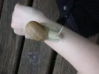 DSCN5723.webp