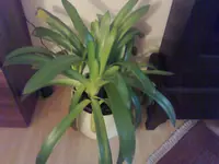 Foto0633.webp