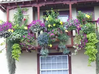 IMGP4202.webp