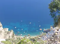 26. black cat - so tief wie das Meer.webp