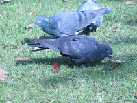 IMG_3560.webp