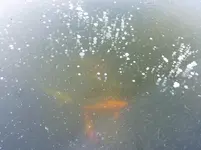 P1070427.webp