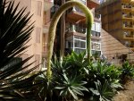 2012-1- Teneriffa 030-2.jpg