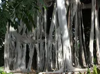 2012-1.14.Teneriffa 008.webp