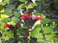 2012-1.14.Teneriffa 068.webp