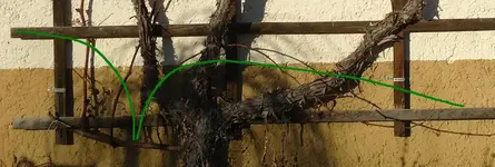 DSC01003-2.webp DSC01003-2.webp